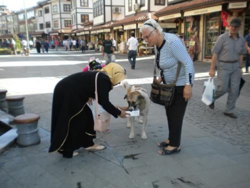 Dostlarmza Su Verelim, Can Verelim 