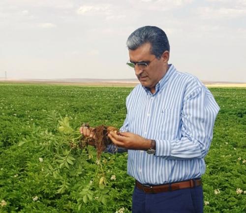 Konya ekerden Patates reticilerine Hasat ncesi Bakm Avans 